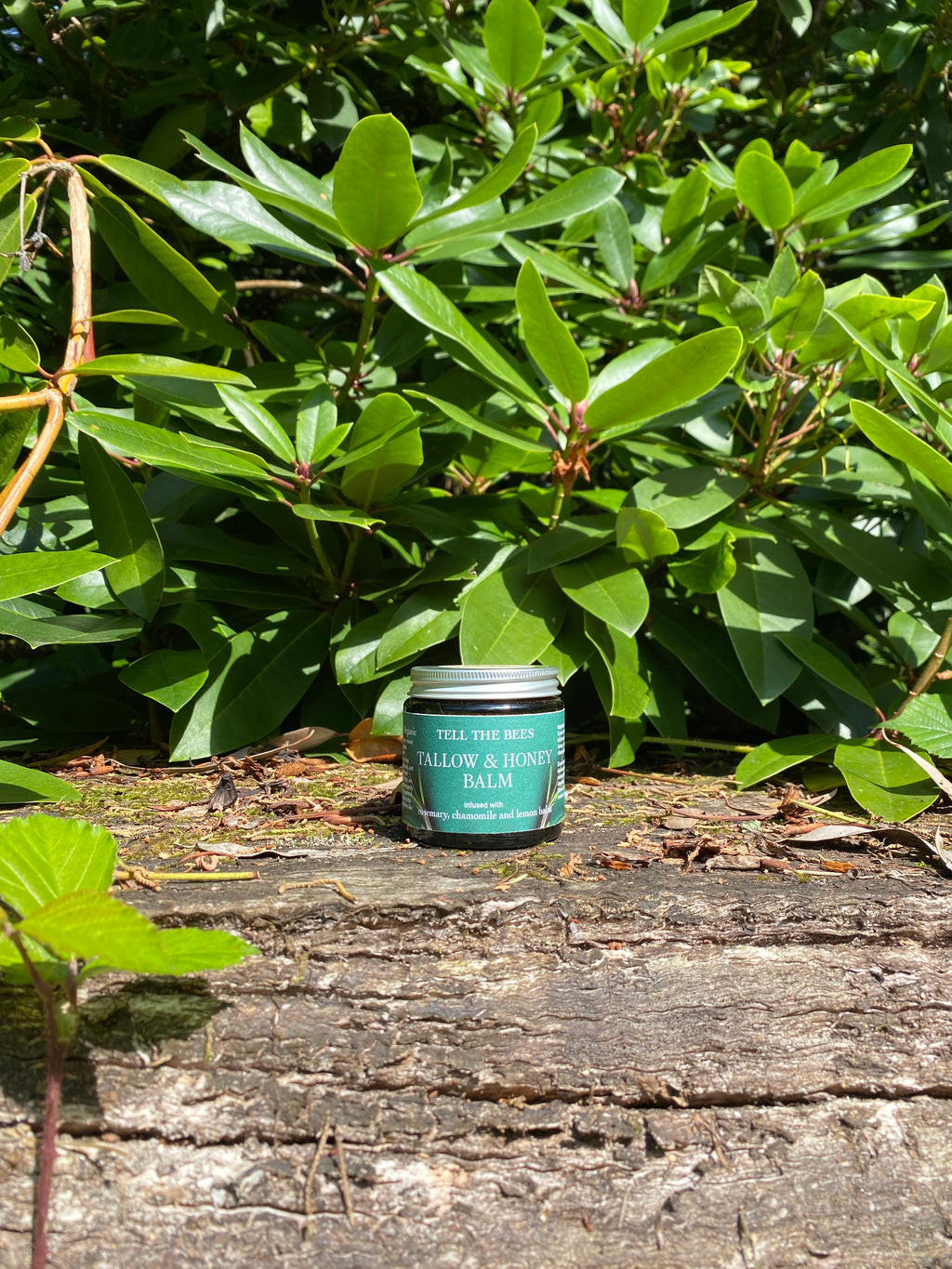 Tallow & Honey Balm