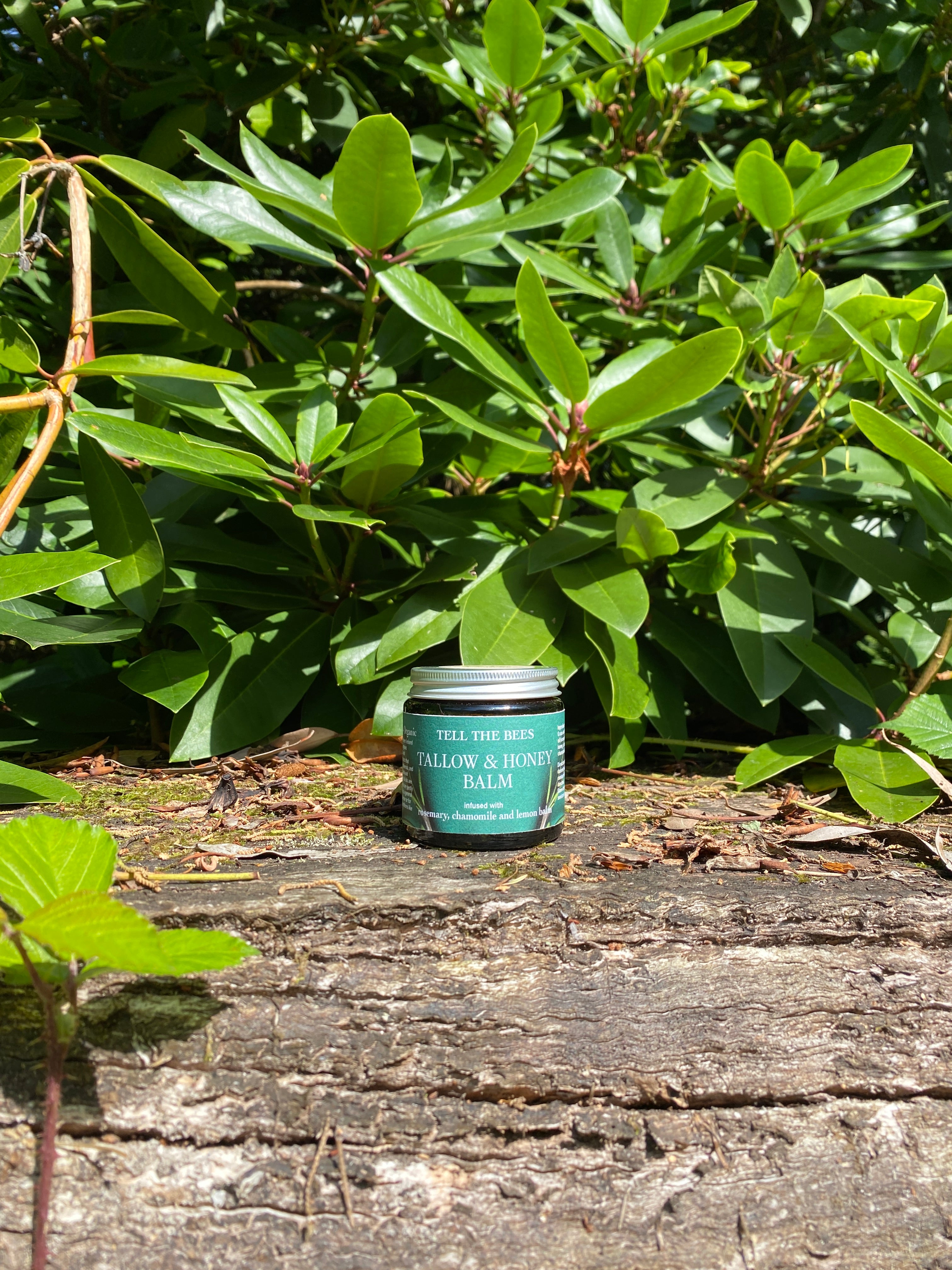 Tallow & Honey Balm